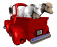 Gifs animados Animales - Imagenes animadas de Animales
