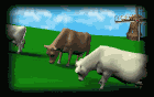 Gifs animados Animales - Imagenes animadas de Animales