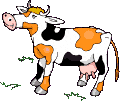 Gifs animados Animales - Imagenes animadas de Animales
