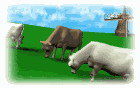 Gifs animados Animales - Imagenes animadas de Animales