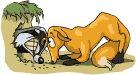 Disegni da colorare di Animali -Colorare disegni gratis Animali