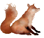 Disegni da colorare di Animali -Colorare disegni gratis Animali