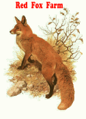 Disegni da colorare di Animali -Colorare disegni gratis Animali