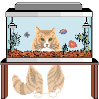 Gifs animados Casa Jardin - Imagenes animadas de Casa jardin