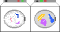 Disegni da colorare di Elettrodomestici -Colorare disegni gratis Elettrodomestici