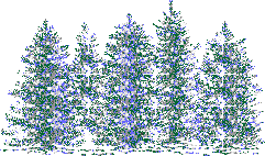 Disegni da colorare di Natale -Colorare disegni gratis Natale