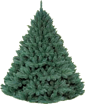 Gifs animados Navidad - Imagenes animadas de de navidad