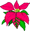 Disegni da colorare di Natale -Colorare disegni gratis Natale