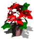 Disegni da colorare di Natale -Colorare disegni gratis Natale