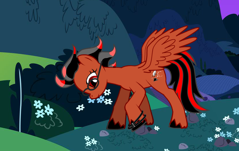 avatar_Quill Feather