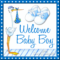 Baby_boy_stork.gif