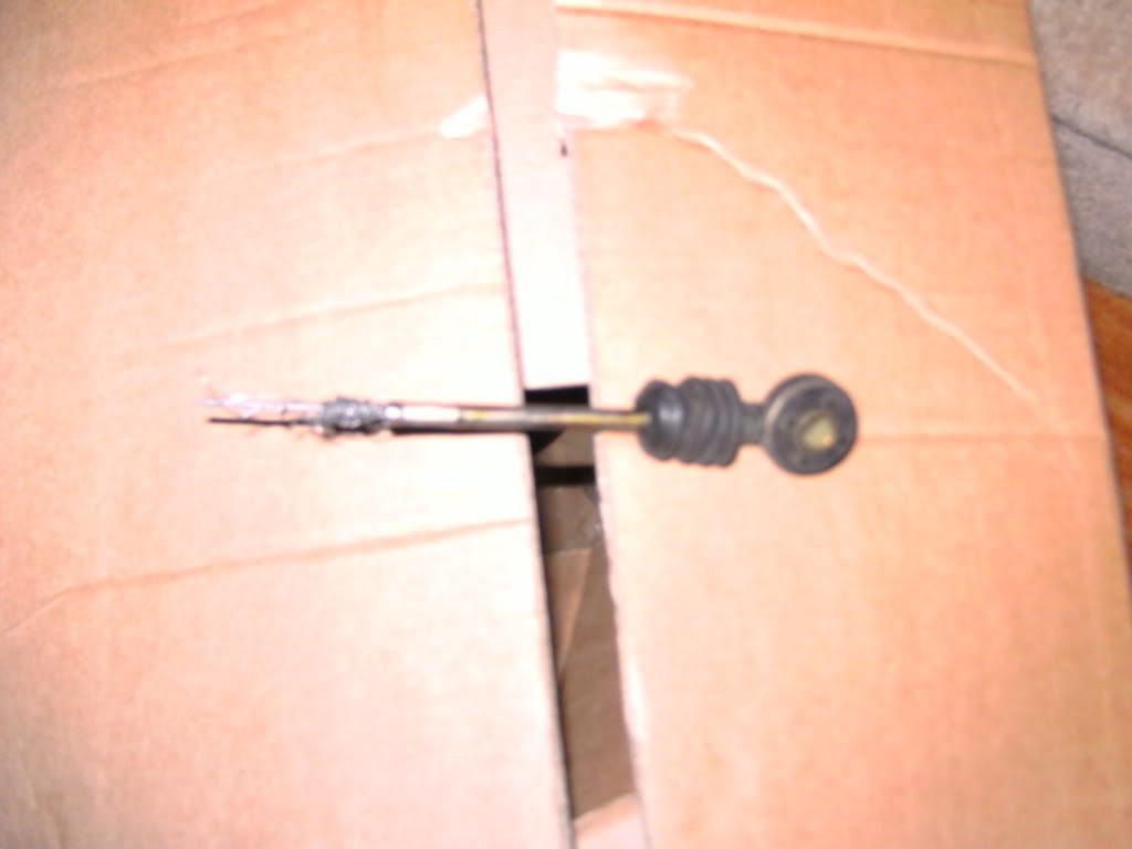 PICT0999.jpg