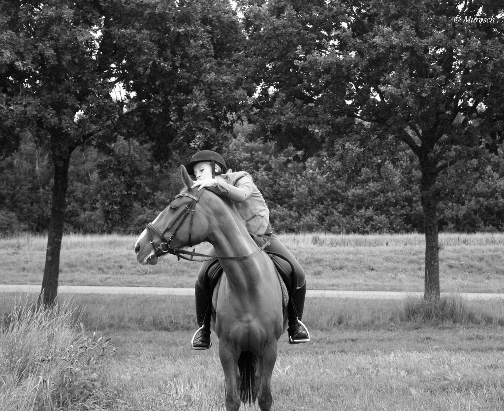 Fotografie