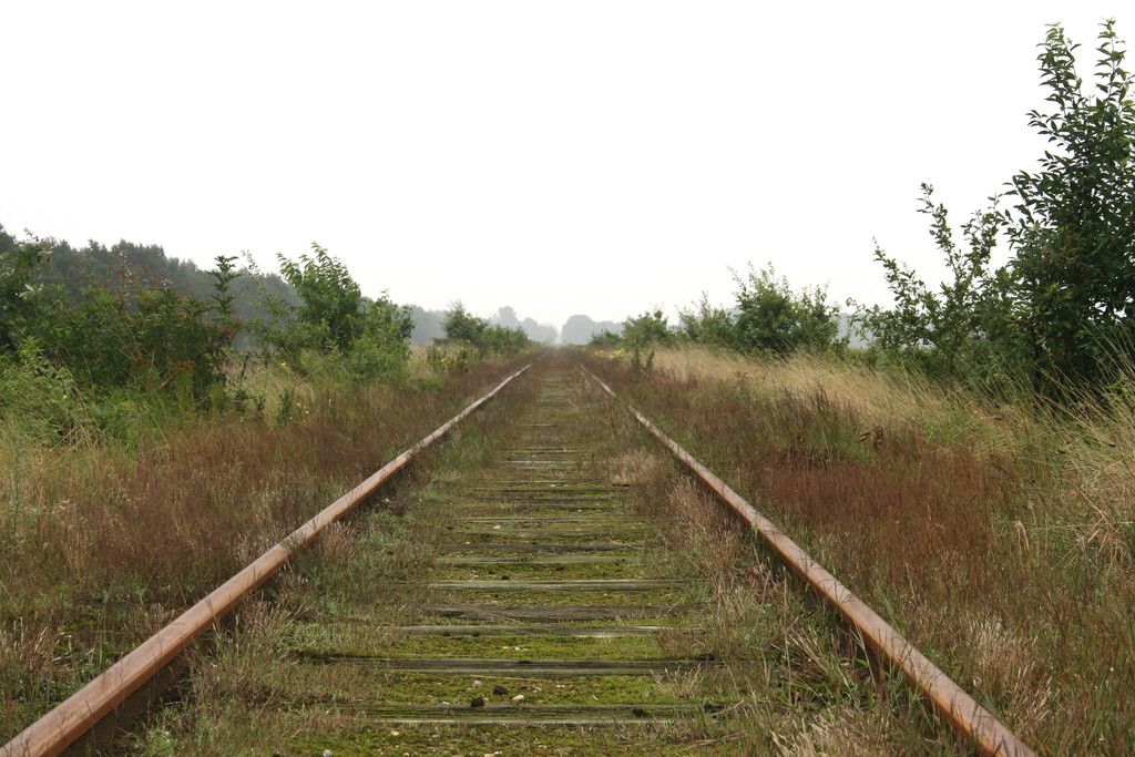 Fotografie
