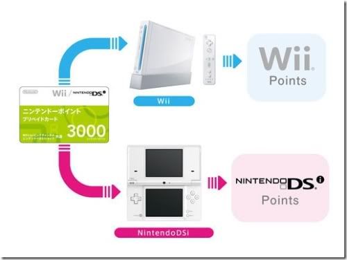 Image for Points Not Interchangeable Between Wii & DSi