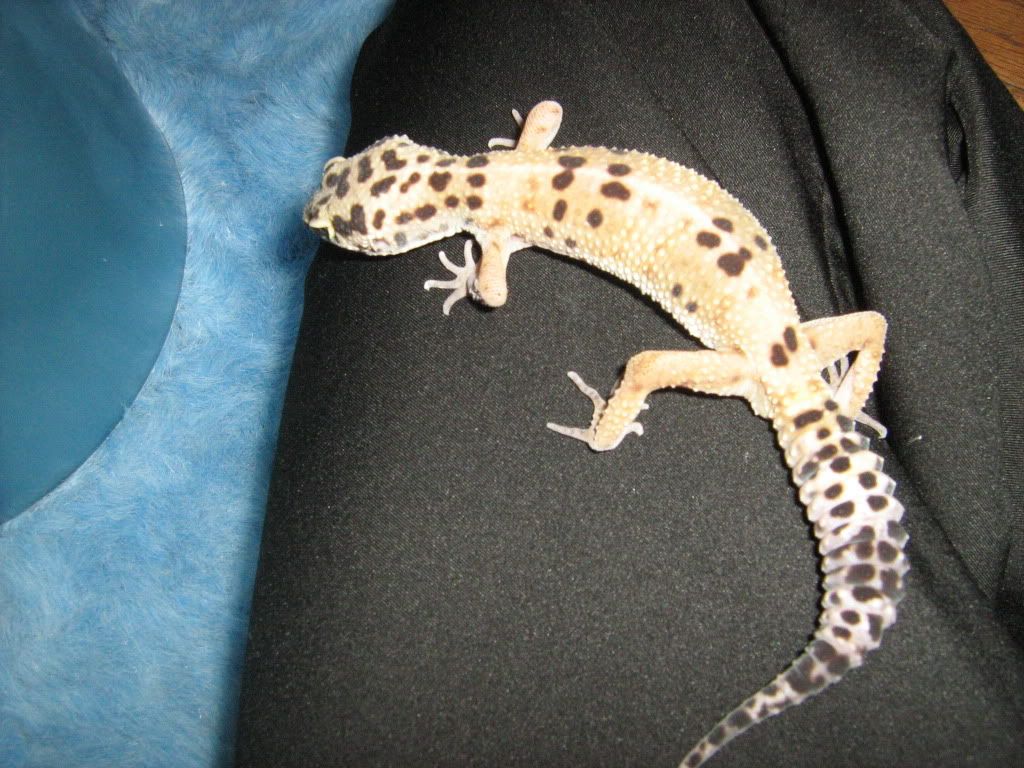 IMG_3794.jpg