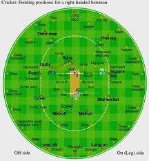 cricket.jpg