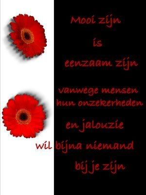bjaloezie.jpg mooi zijn picture by chayenne_album