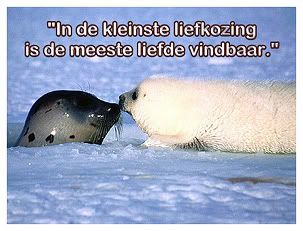 liefkozing.jpg liefkozing picture by chayenne_album