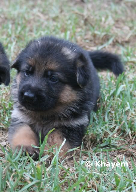 No 6 girl, 3 weeks