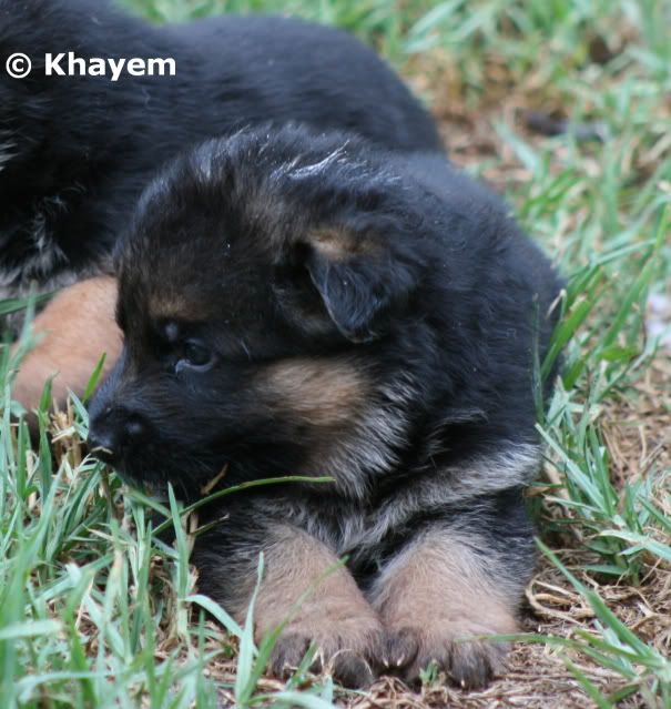 No 3 boy, 3 weeks