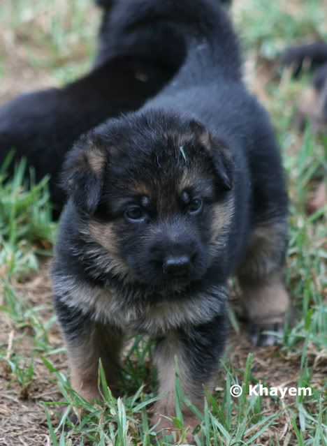 No 10 girl, 3 weeks