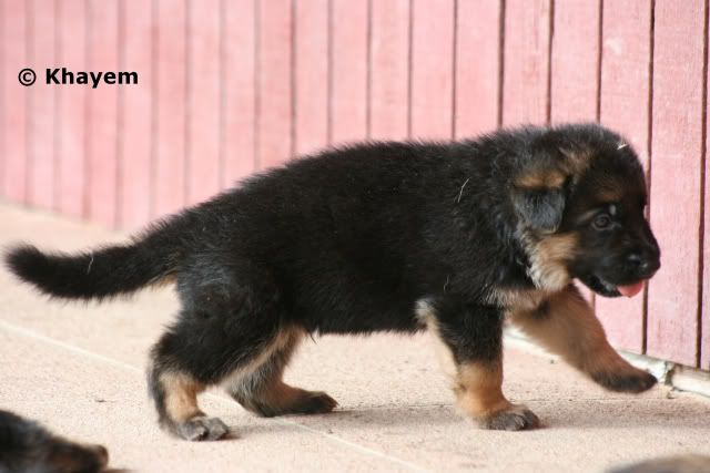 No 5 boy, 3 weeks