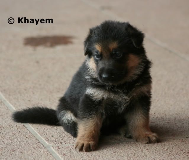 No 4 boy, 3 weeks