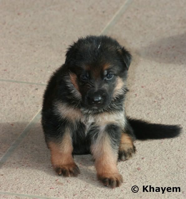 No 1 boy, 3 weeks