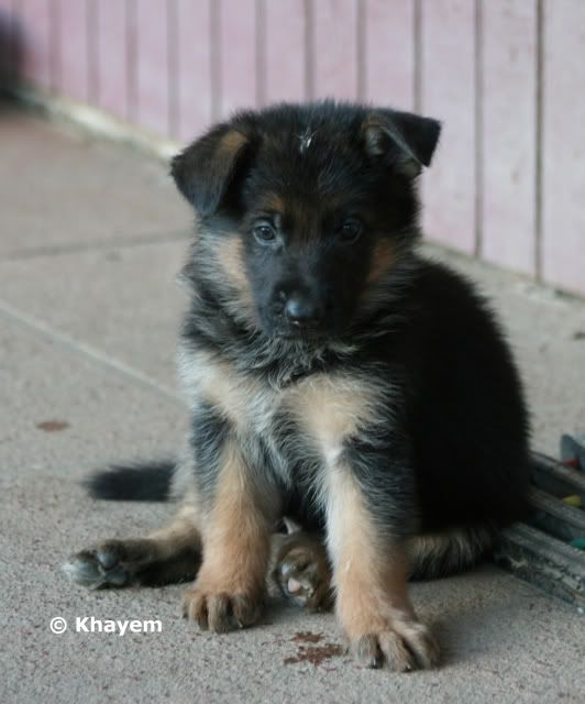 Ryker 5 weeks