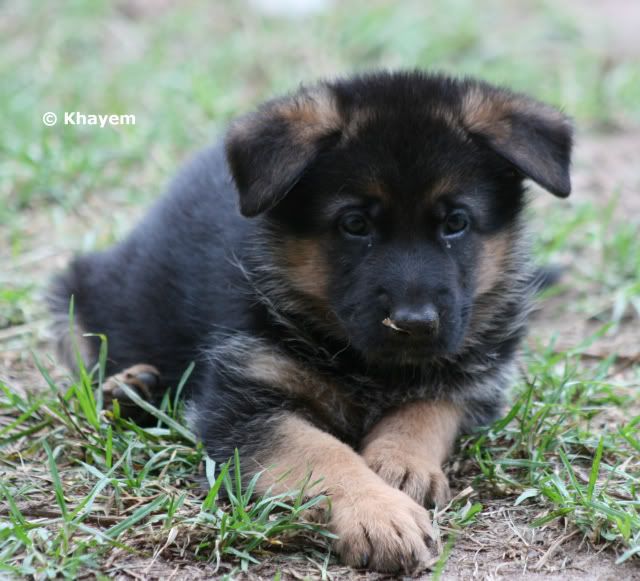 Anya 5 weeks