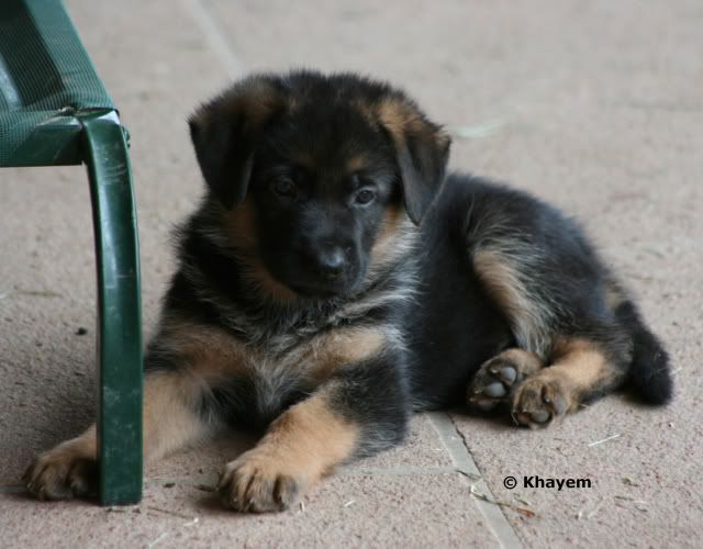 Sassy 5 weeks