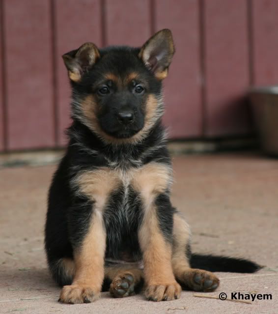 Astrid 5 weeks