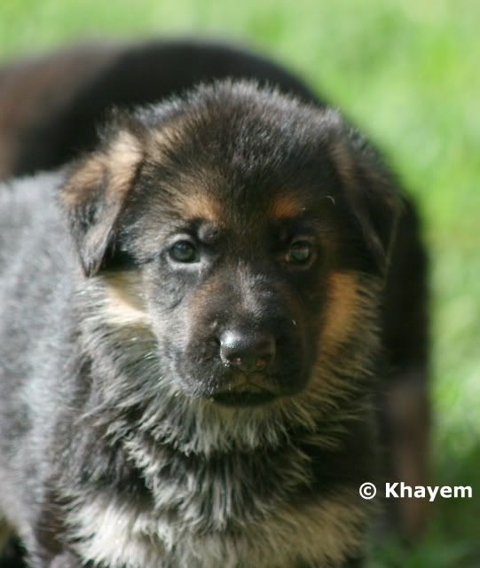 Andie 5 weeks