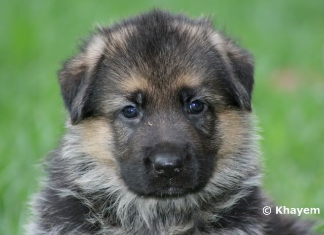 Maia 5 weeks