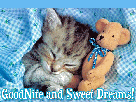 3eeeb6c5c0fc7cc87920d7afbad66dc1.gif sweet dreams image by momvance
