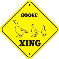 Goose_xing_thumb_640.jpg