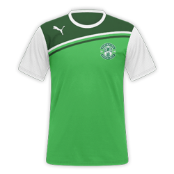 hibs-kit.png