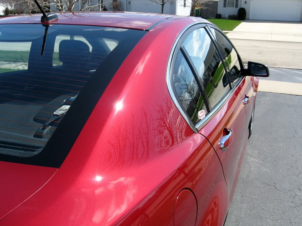 Spring2011G8GTpaintcorrection005Largee-mailview.jpg