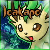 joakapo joakapo