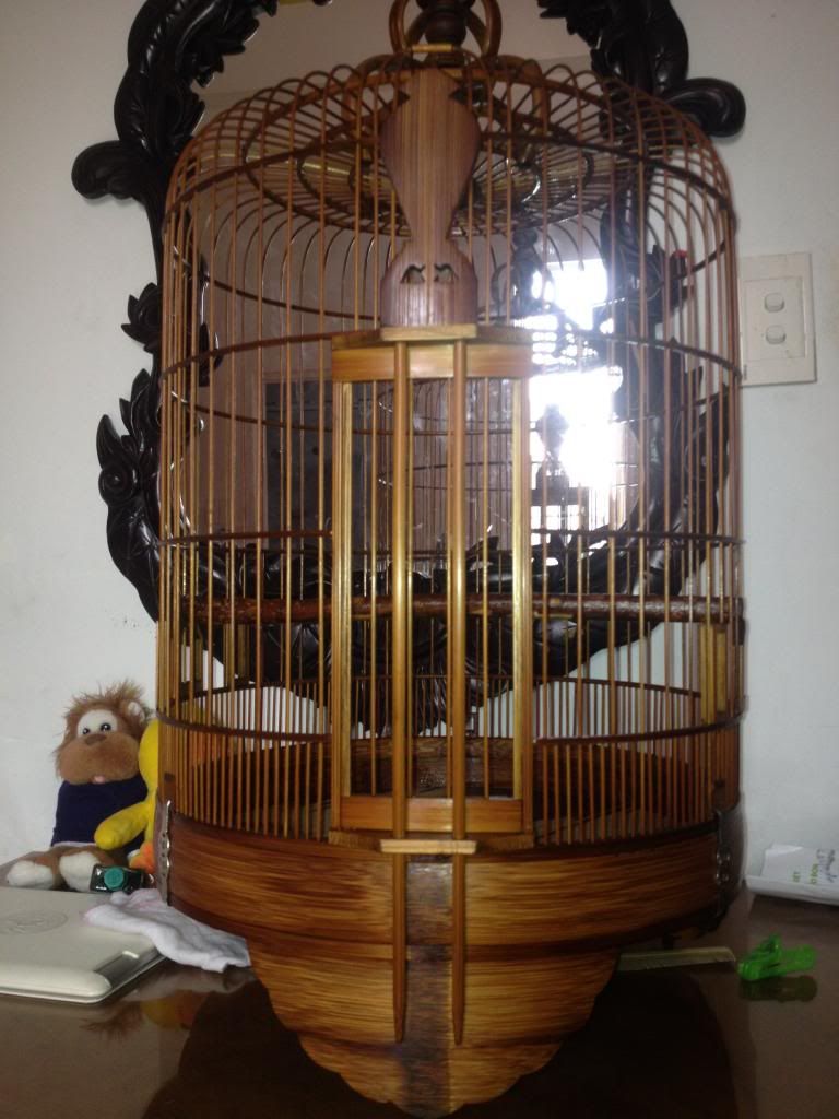 Bán lồng xưa và một số chim...