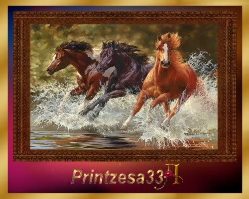 Ali-Horse painting8