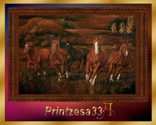 Ali-Horse painting9