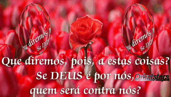 Orkutstars As Melhores Imagens