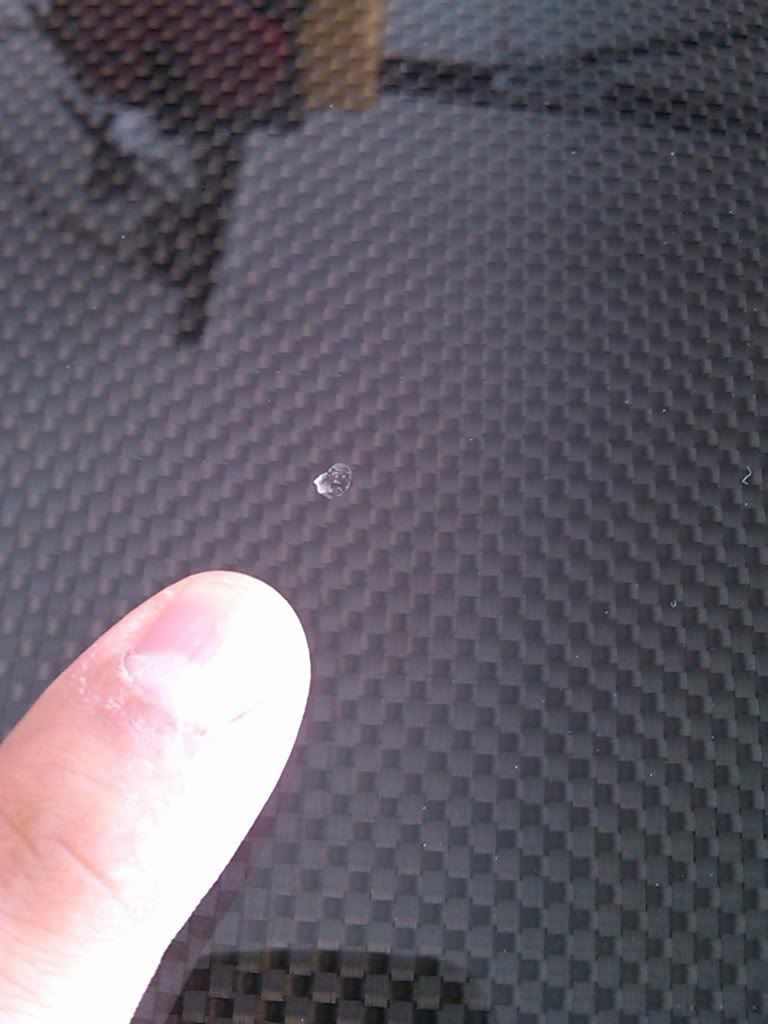 IMG00133-20110503-1702.jpg