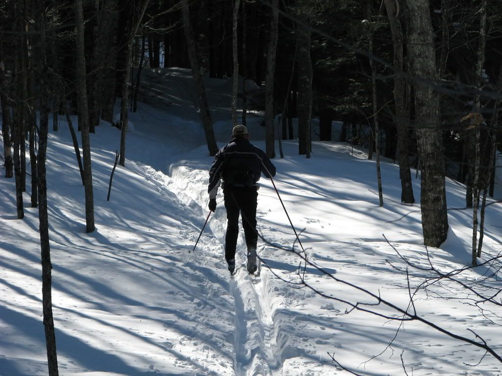 Cross Country Skiing In Maine Pictures, Images and Photos