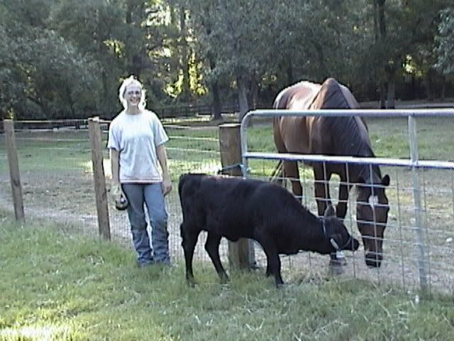 Pictures of Cali's first day - Cattle