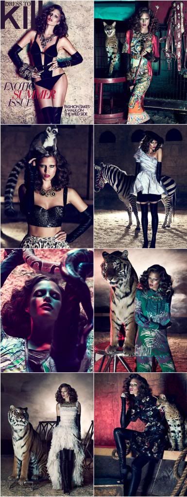  photo xchris-nicholls-wild-shoot1jpgqresize640P2C870pagespeedic-tile.jpg
