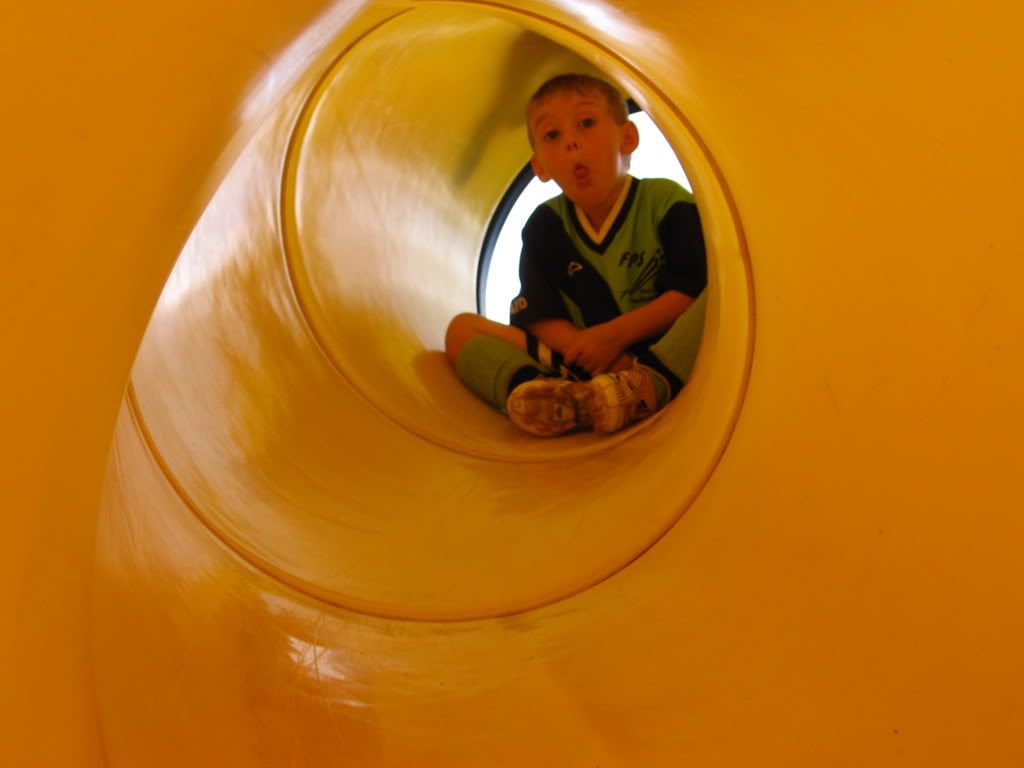 david in a tube