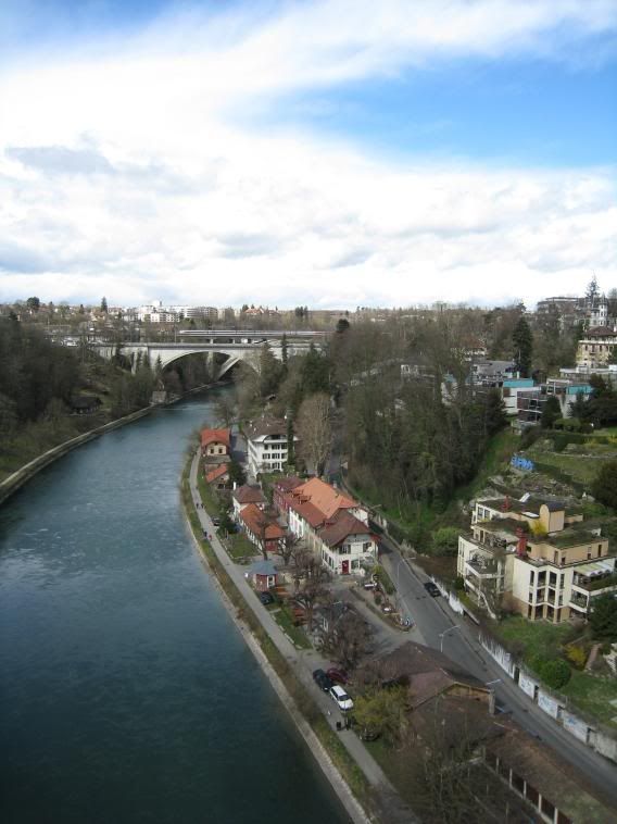 IMG_5581.jpg picture by andrew1203antm